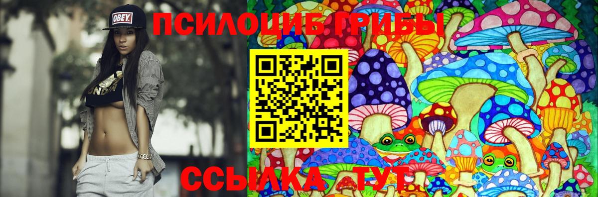 Галлюциногенные грибы Psilocybine cubensis Асино